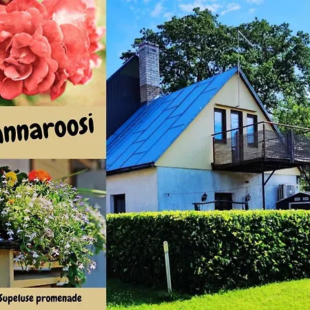 Rannaroosi Guesthouse 아파트 페르누